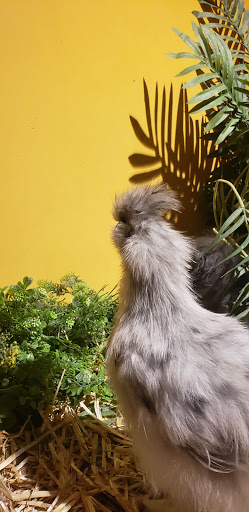 Aquarium «SeaQuest Interactive Aquarium», reviews and photos, 1201 N Hill Field Rd #1072, Layton, UT 84041, USA