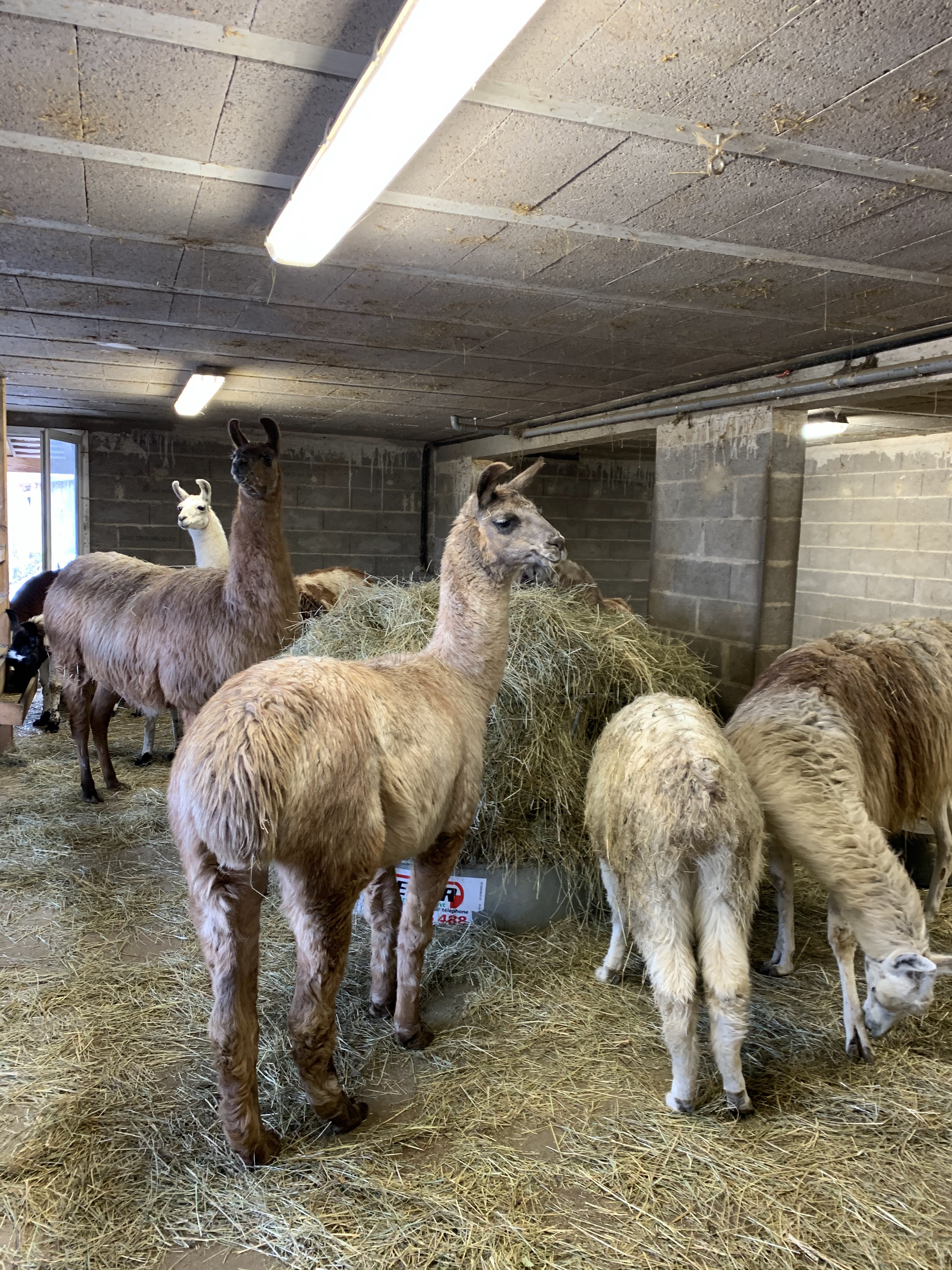 Photo n° 12 de l'avis de Gwendoline.a fait le 20/02/2020 à 15:02