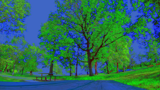 Park «East Rock Park», reviews and photos, 41 Cold Spring St, New Haven, CT 06511, USA