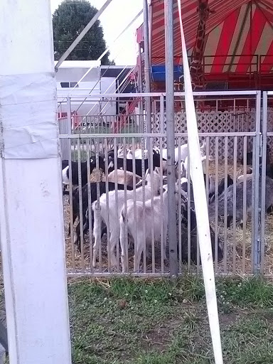 Fair «Delaware State Fair», reviews and photos, 18500 S Dupont Hwy, Harrington, DE 19952, USA