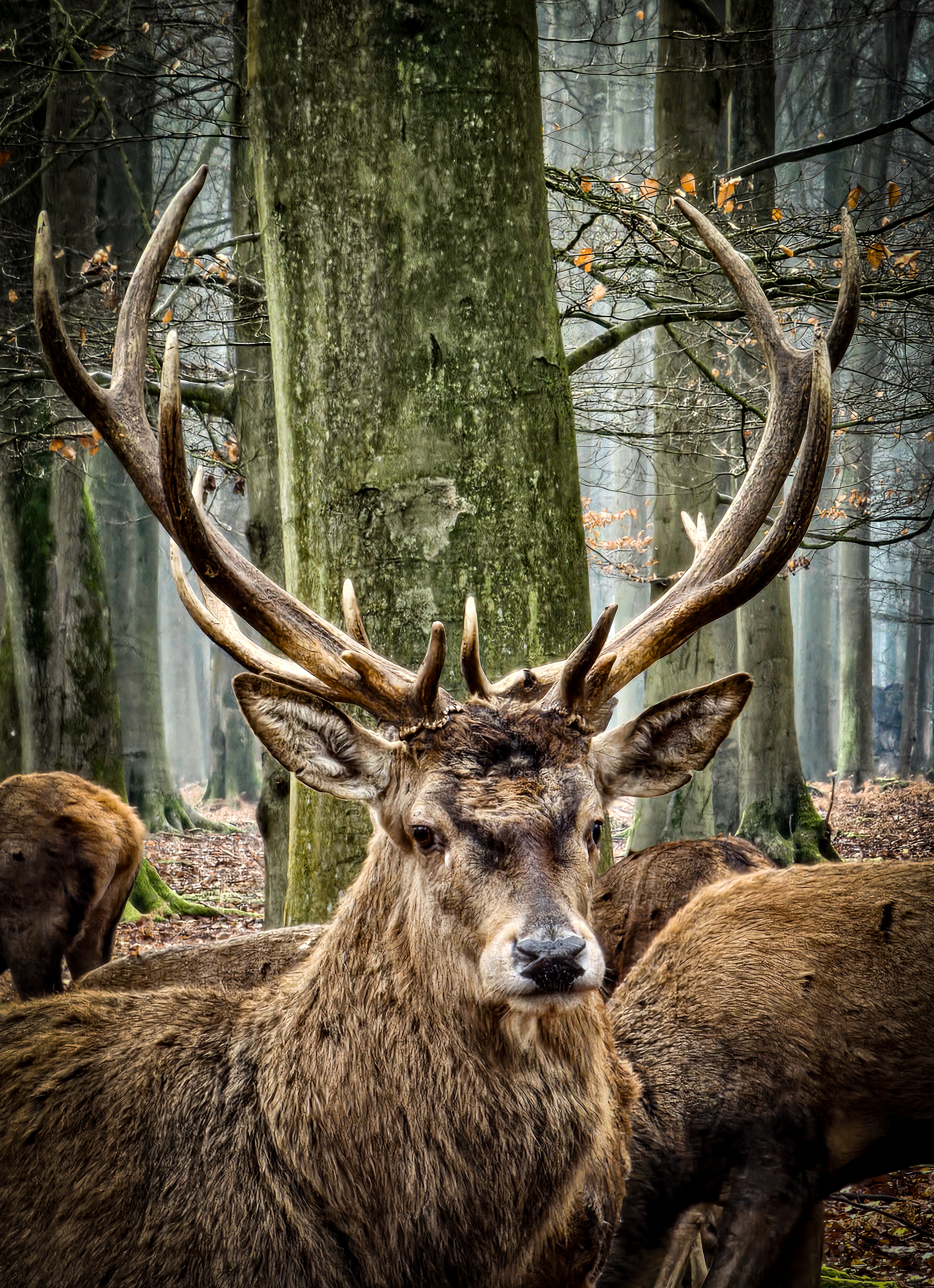Photo n° 18 de l'avis de Nono.h fait le 09/12/2023 à 09:20