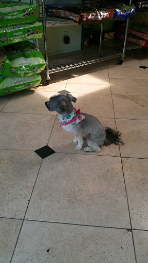 Pet Groomer «Doggie Style Bowtique», reviews and photos, 1713 Westport Rd, Kansas City, MO 64111, USA