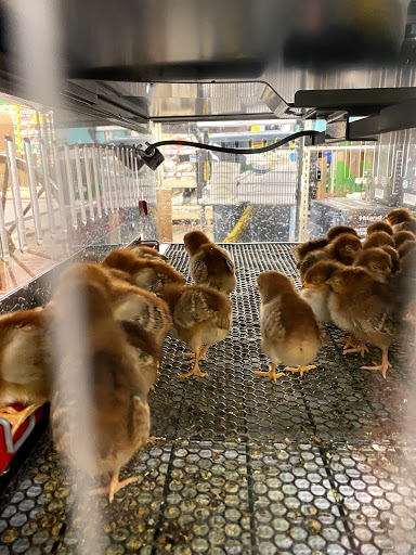 Home Improvement Store «Tractor Supply Co.», reviews and photos, 1360 Strickler Rd, Mount Joy, PA 17552, USA