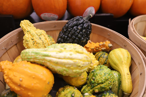 Grocery Store «Food Lion», reviews and photos, 304 S Broadway, Portland, TN 37148, USA