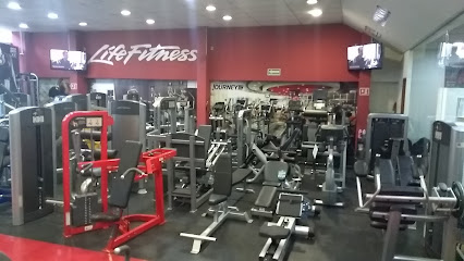 LIFE FITNESS PREMIUM OULET