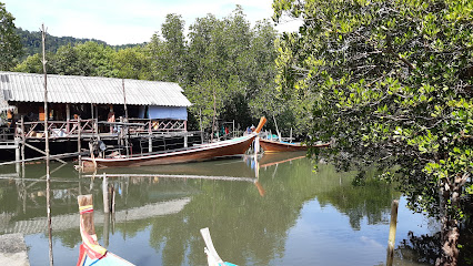 Tung Yee Peng Pier (Mangrove tour - Eco tourism)