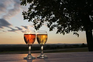 Vista of Maine Vineyard & Cidery Tasting Room, Wedding barn and Vista Grill Restaurant. image