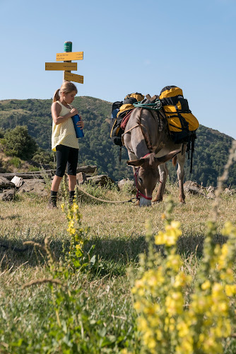 attractions Anambule Val-d'Aigoual