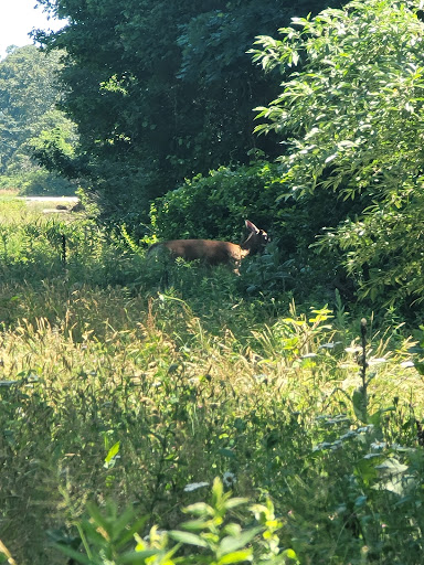 Nature Preserve «John H. Chafee Nature Preserve», reviews and photos, Boston Neck Rd, North Kingstown, RI 02852, USA