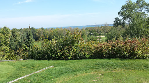 Golf Course «Wild Bluff Golf Course», reviews and photos, 11335 W Lakeshore Dr, Brimley, MI 49715, USA