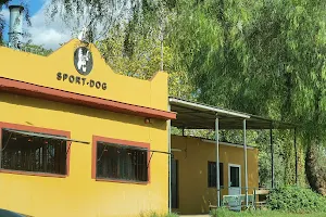 Centro Canino Sport-dog image