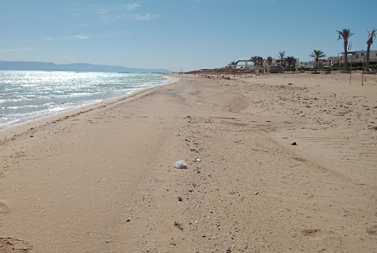 Golden beach