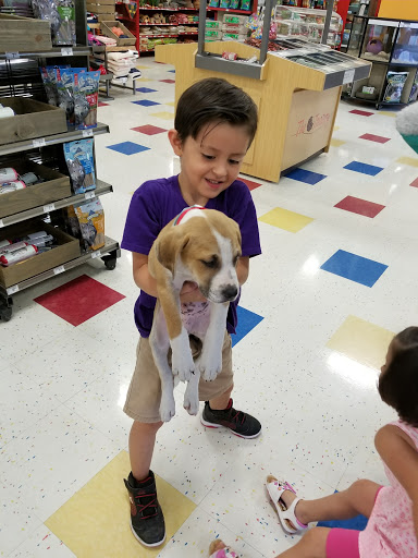 Pet Supply Store «Petco Animal Supplies», reviews and photos, 2340 Holcomb Bridge Rd, Roswell, GA 30076, USA
