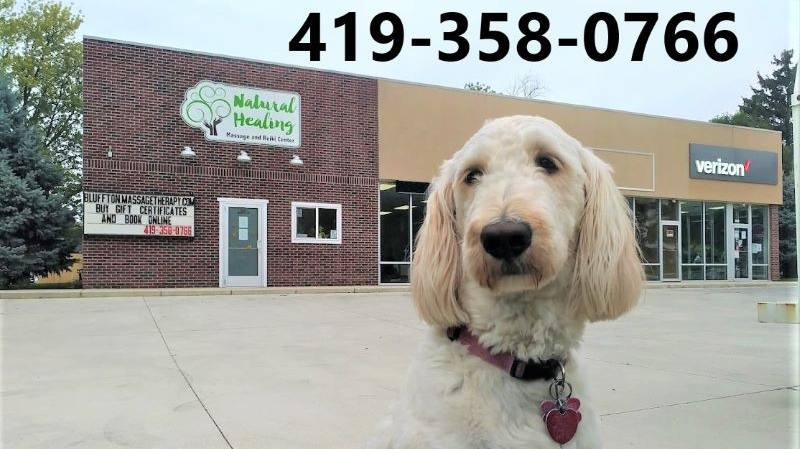 Natural Healing Massage and Reiki Center LLC 45817