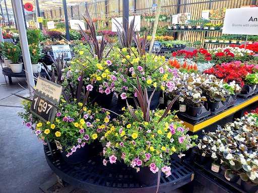 Department Store «Walmart Supercenter», reviews and photos, 8320 Lockwood Ridge Rd, Sarasota, FL 34243, USA