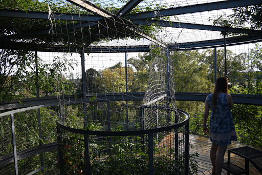 El Jardín de los Niños