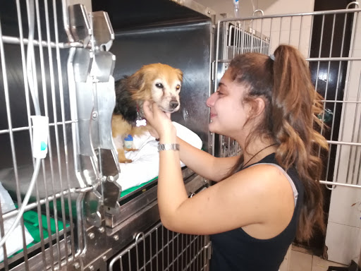 Pensioni per cani e dog hotel a Clinica Veterinaria Eur Torrino - Associazione Veterinaria Europa