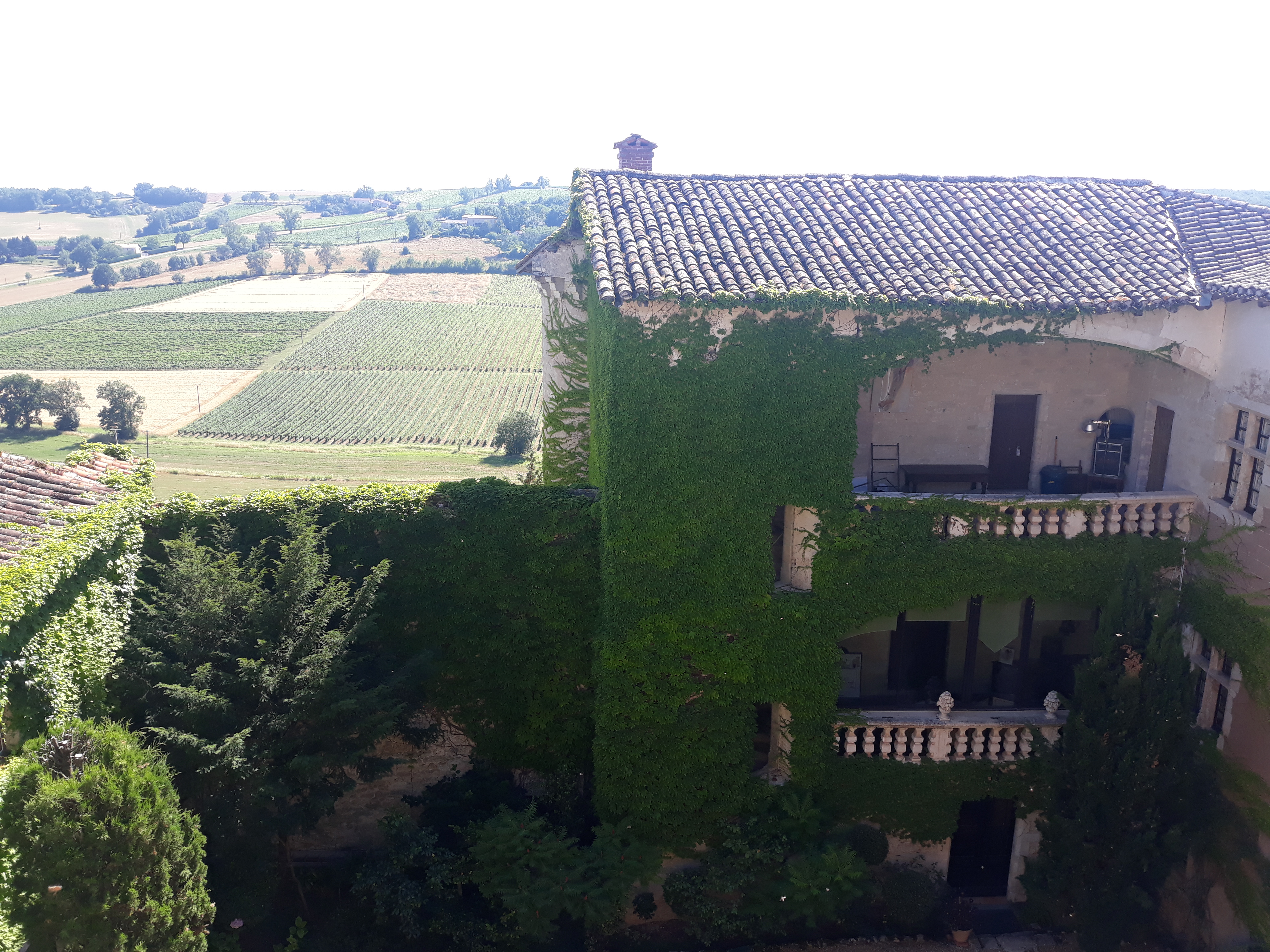 Photo n° 5 de l'avis de jeremi.O fait le 11/07/2019 à 10:13