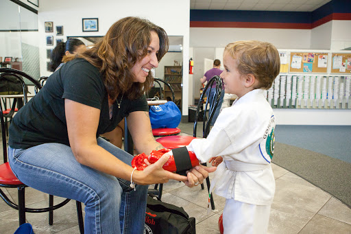 American Martial Arts Academy image
