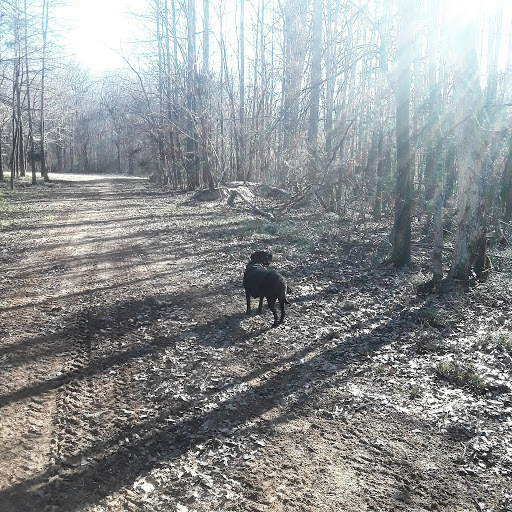 Wedding Venue «The Sonnet House», reviews and photos, 1487 Montevallo Rd SW, Leeds, AL 35094, USA