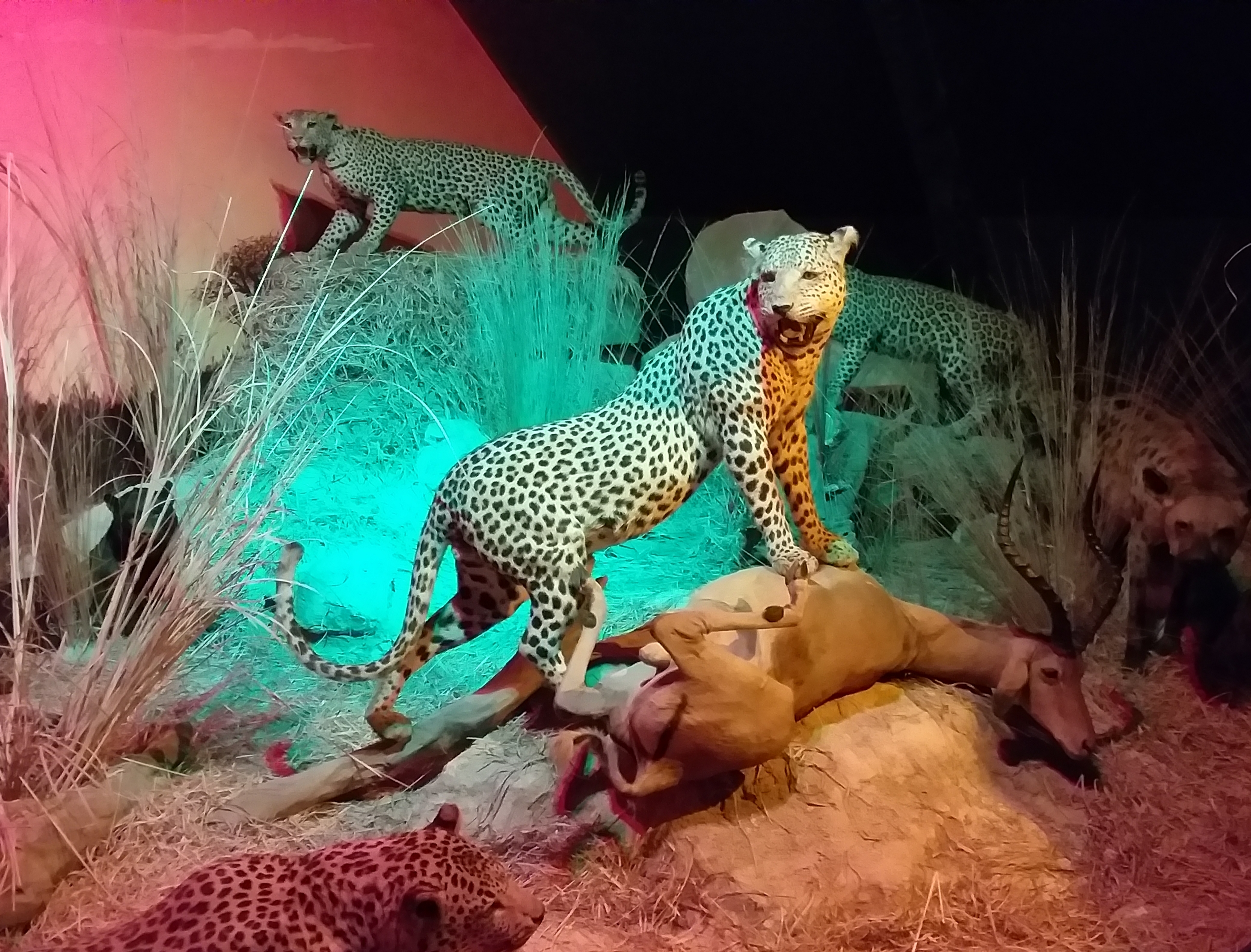 Photo n° 17 de l'avis de Caroline.e fait le 11/08/2019 à 21:48