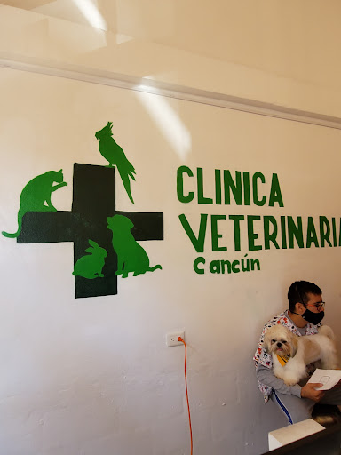 Clinica Veterinaria Cancun