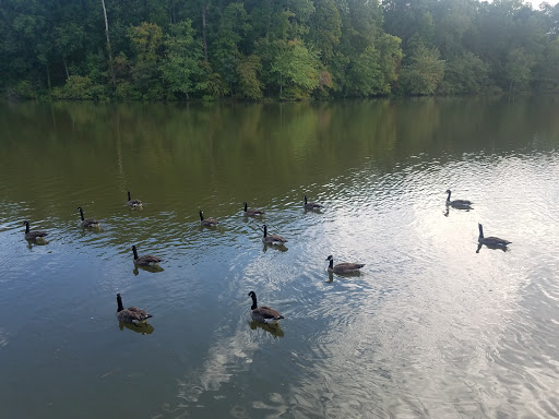 Recreation Center «Newton County Recreation Commission», reviews and photos, 6185 Turner Lake Road, Covington, GA 30014, USA