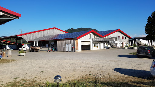 site_photo3