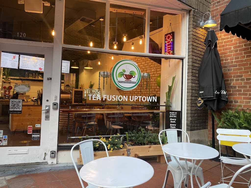 Tea Fusion Uptown 28202