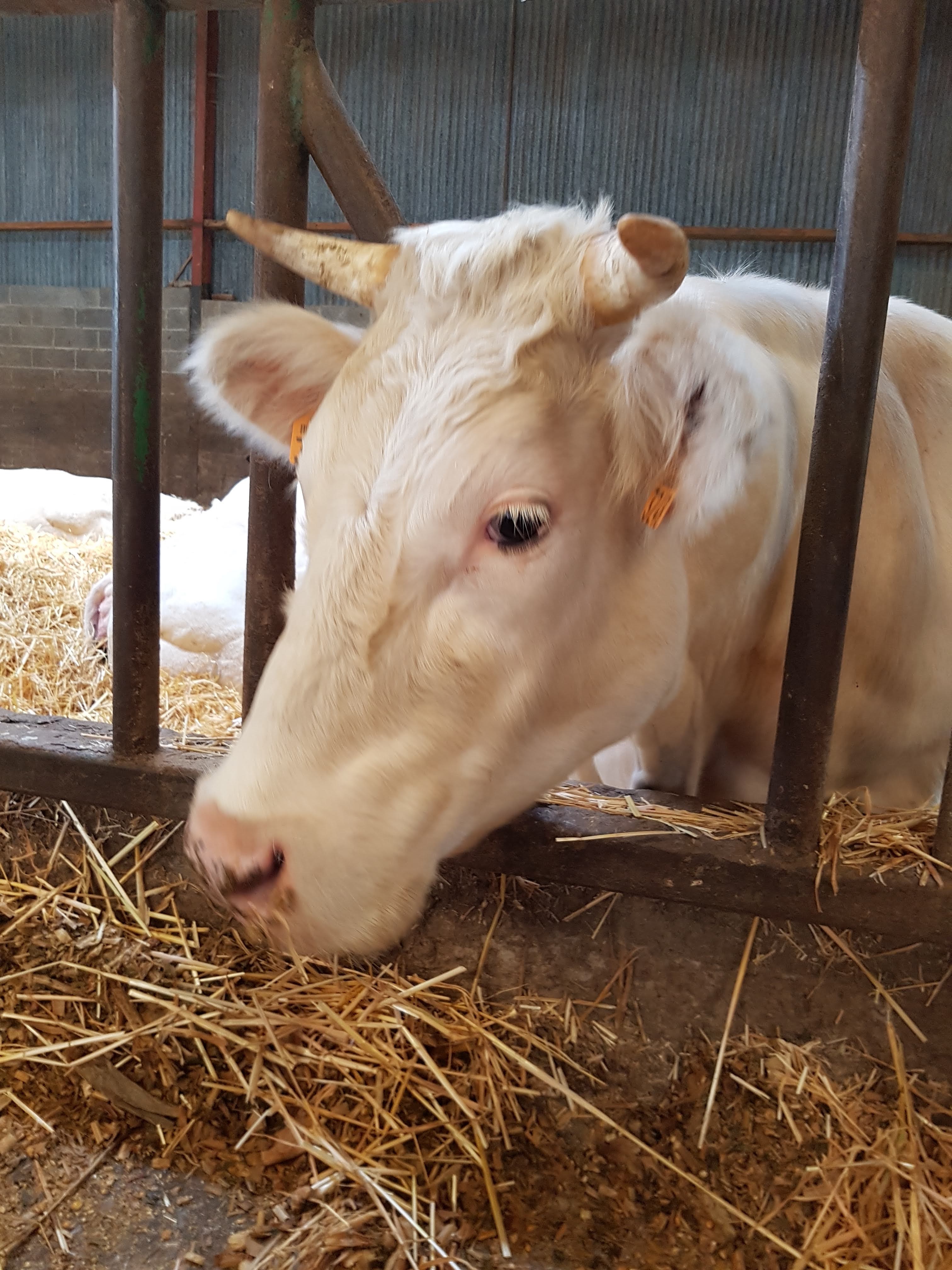 Photo n° 14 de l'avis de Alicia.P fait le 28/04/2019 à 13:27