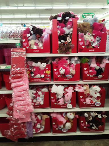 Dollar Store «Dollar Tree», reviews and photos, 2241 Citrus Blvd #107, Leesburg, FL 34748, USA