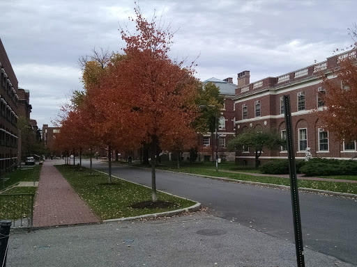 Museum «Peabody Museum of Archaeology and Ethnology», reviews and photos, 11 Divinity Ave, Cambridge, MA 02138, USA