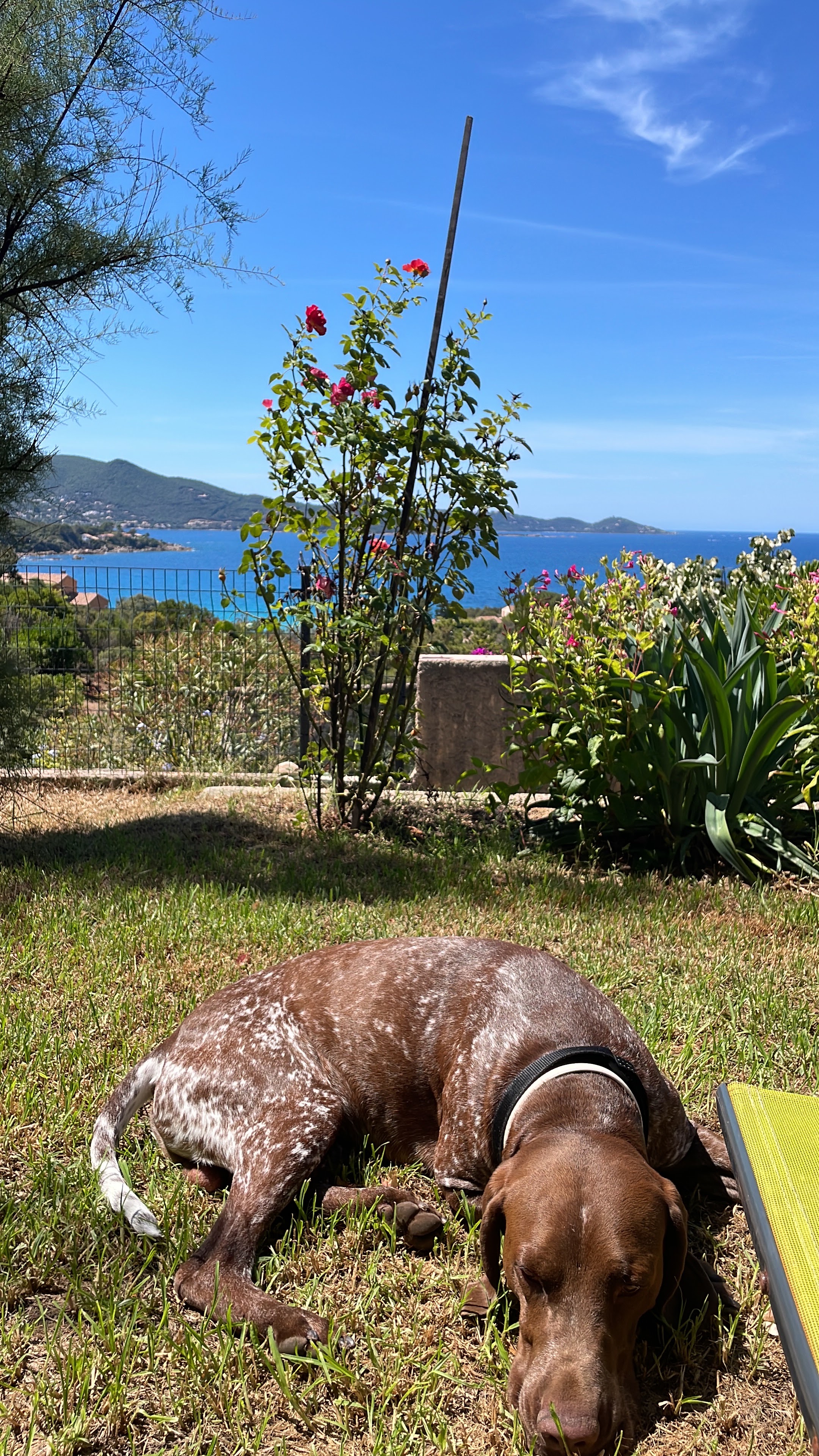 Photo n° 2 de l'avis de Matilde.e fait le 17/08/2023 à 10:08