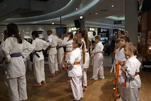 Kaliski Klub Kyokushin-kan Karate David Club, karate kalisz jezyk image