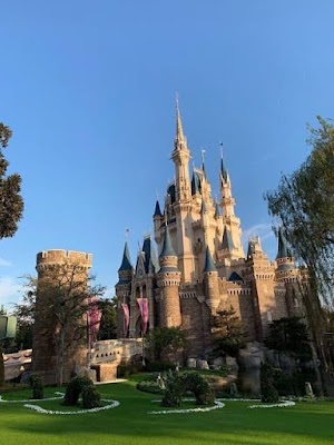 Disneyland - photo 19