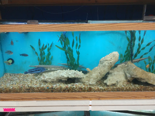 Pet Supply Store «Pet Valu», reviews and photos, 541 S Breiel Blvd, Middletown, OH 45044, USA