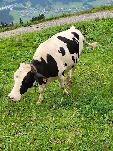 Hauptstrasse 38, 4633 Hauenstein-Ifenthal, Schweiz