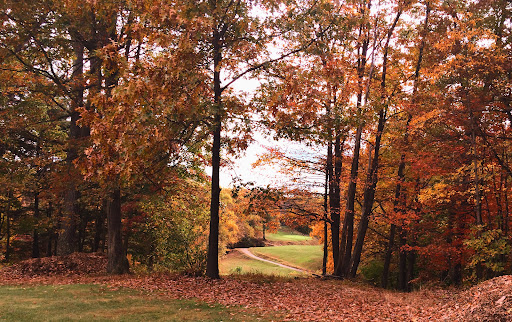 Golf Course «Gunpowder Golf Course», reviews and photos, 14300 Old Gunpowder Rd, Laurel, MD 20707, USA