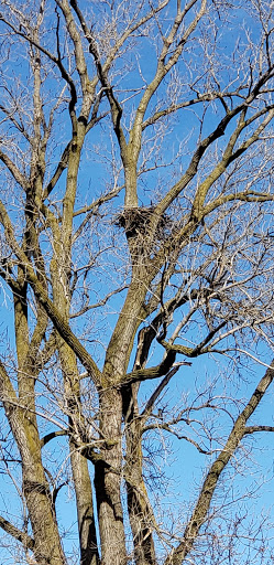 Nature Preserve «Marais Temps Clair Conservation Area», reviews and photos, 5134 Island Road, St Charles, MO 63301, USA