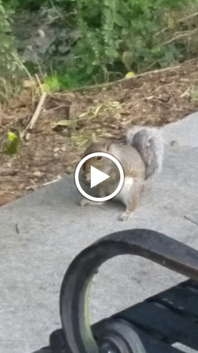 Coffee Shop «Starbucks», reviews and photos, 795 Turner McCall Blvd, Rome, GA 30161, USA