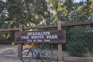 Guadalupe Oak Grove Park image