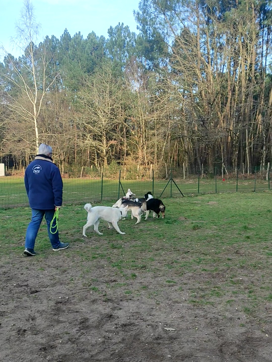Photo n° 1 de l'avis de Allison.a fait le 30/04/2023 à 16:17