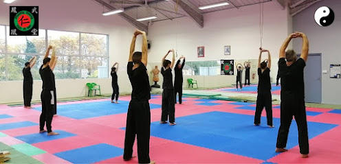 Cours VIET VO DAO Taichi Qigong St Sulpice