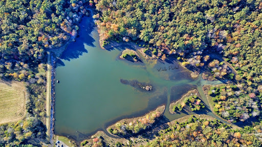 National Forest «Land Between the Lakes National Recreation Area», reviews and photos, 238 Visitor Center Dr, Golden Pond, KY 42211, USA