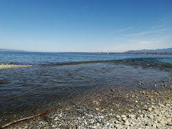 Foto di Plage de la Becassine ubicato in zona naturale