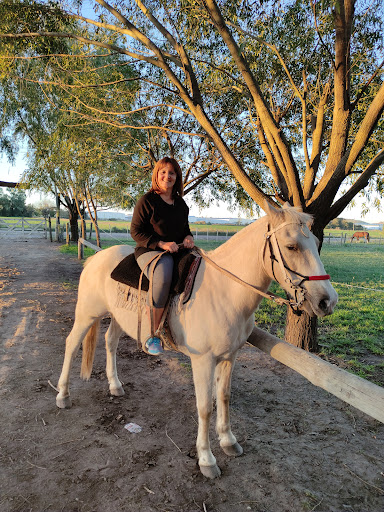 Caballeriza Los Sauces