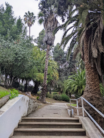 Fern Dell Nature Trail by null