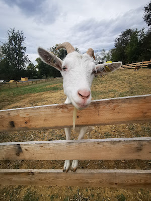 LA FERMETTE DES 3 à Pompiac