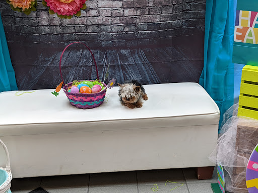 Shopping Mall «North Grand Mall», reviews and photos, 2801 Grand Ave, Ames, IA 50010, USA