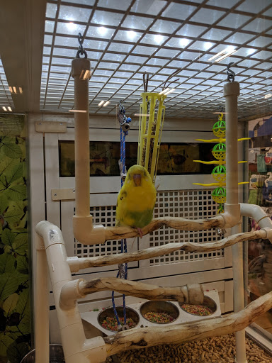 Pet Supply Store «PetSmart», reviews and photos, 1800 Evans Rd, Melbourne, FL 32904, USA